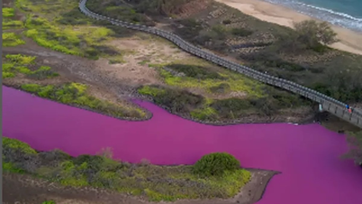 Lagoa no Hawai fica rosa