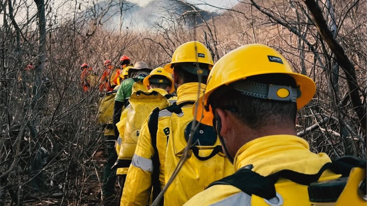 Ação integrada no combate ao incêndio florestal na Serra do Cruzeiro, em São José do Bonfim. Ação integrada no combate ao incêndio florestal na Serra do Cruzeiro, em São José do Bonfim.
