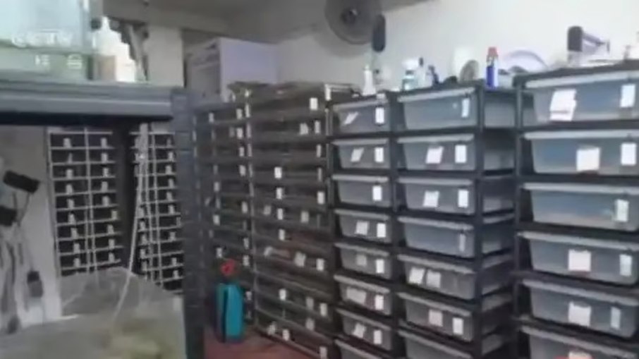 Caixas plásticas empilhadas do chão ao teto abrigavam as pítons no apartamento de Guo em Taizhou Caixas plásticas empilhadas do chão ao teto abrigavam as pítons no apartamento de Guo em Taizhou