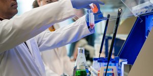 Cientistas restauram memória de camundongo idoso com spray nasal