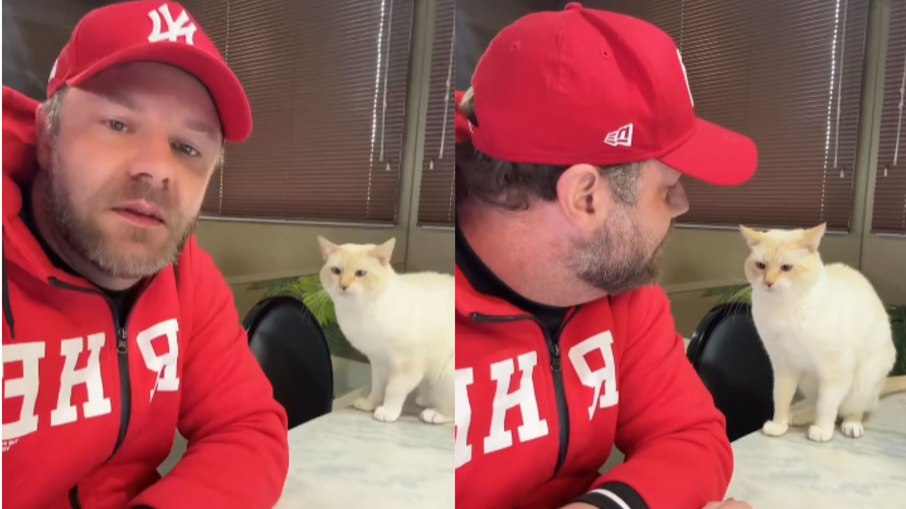 Gato 'interrompe' tutor ao ter romance revelado em vídeo Gato 'interrompe' tutor ao ter romance revelado em vídeo