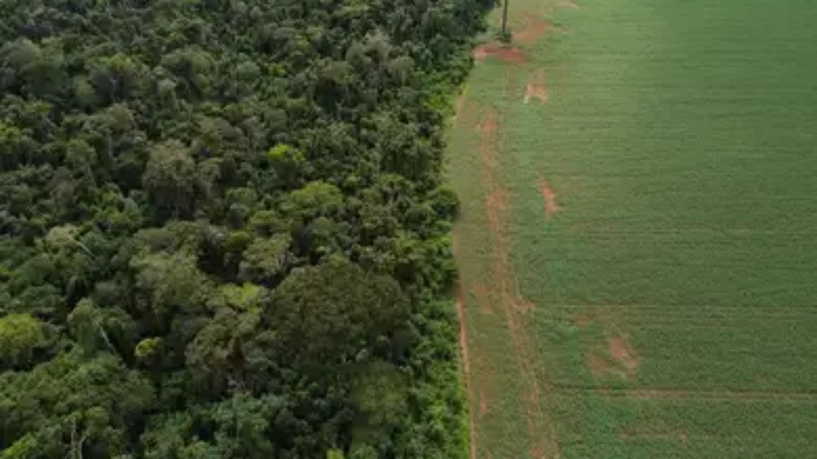 PL que trata da nova legislação ambiental foi aprovada no Senado e segue para a Câmara