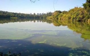 Lago das Garças expõe século de poluição por metais em São Paulo