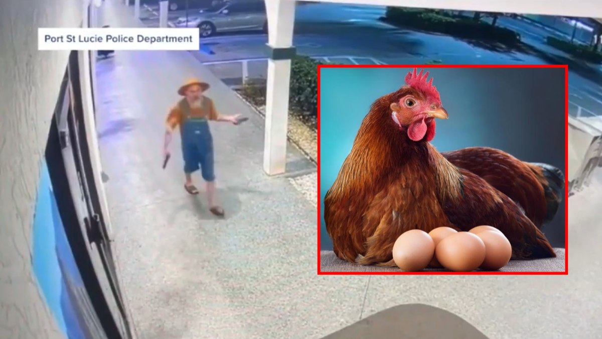 Homem aparece atirando após discussão sobre galinhas Homem aparece atirando após discussão sobre galinhas