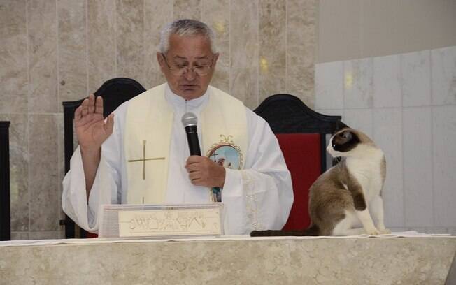 O gato Júnior subiu no altar da paróquia durante o batizado 