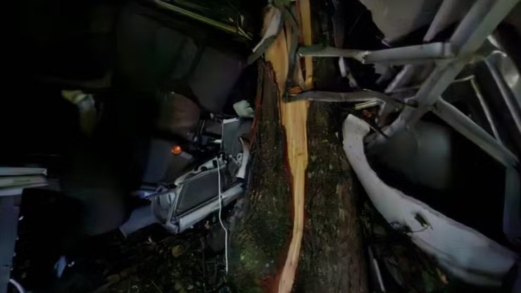 Queda de ônibus deixa mortos e feridos em Santa Catarina