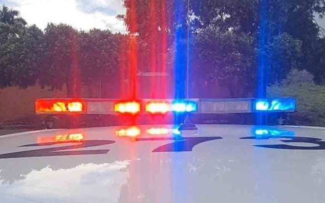 Ladrão furta seis porcos, quatro leitões e 50 galinhas em sítio de Araçatuba