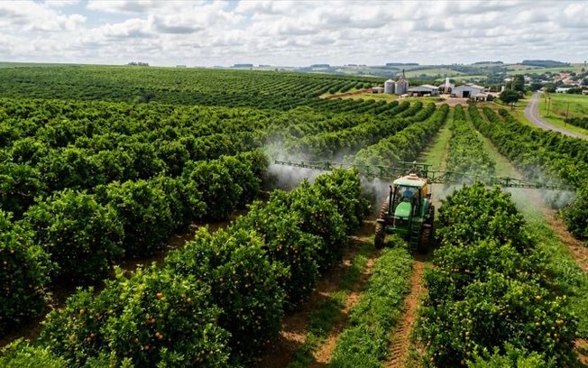 Gulf participa da Bahia Farm Show com produtos certificados
