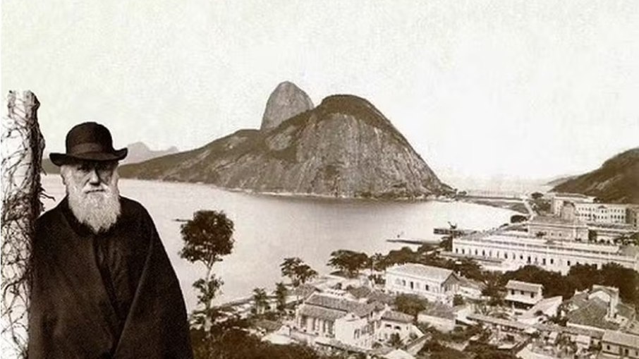 Carnaval e escravidão: o Brasil que chocou e fascinou Charles Darwin Carnaval e escravidão: o Brasil que chocou e fascinou Charles Darwin
