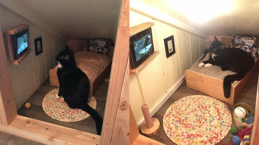 Dono constrói quarto para gato embaixo da escada