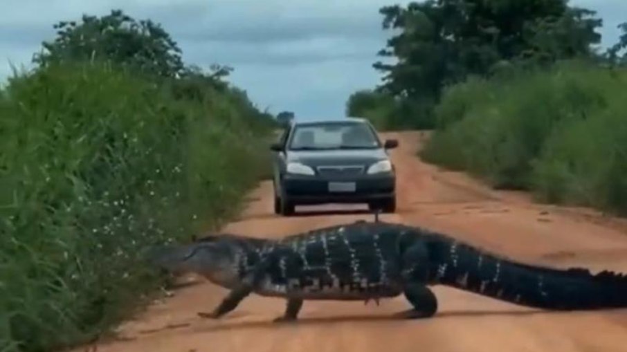 O vídeo que circula nas redes sociais foi gravado por um supervisor de transporte