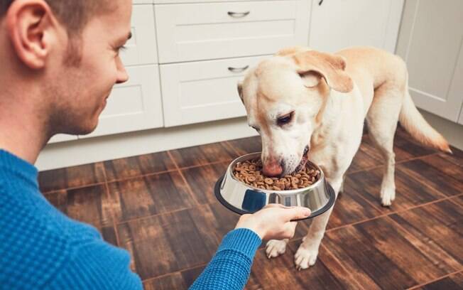 O crescimento do setor pet com rações cada vez mais naturais