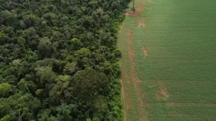 Para%20Greenpeace%2C%20nova%20lei%20de%20licen%C3%A7a%20ambiental%20%C3%A9%20devastadora%3B%20entenda