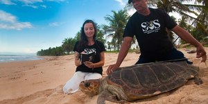 Veja: 10 instituições de conservação da natureza atuam no turismo