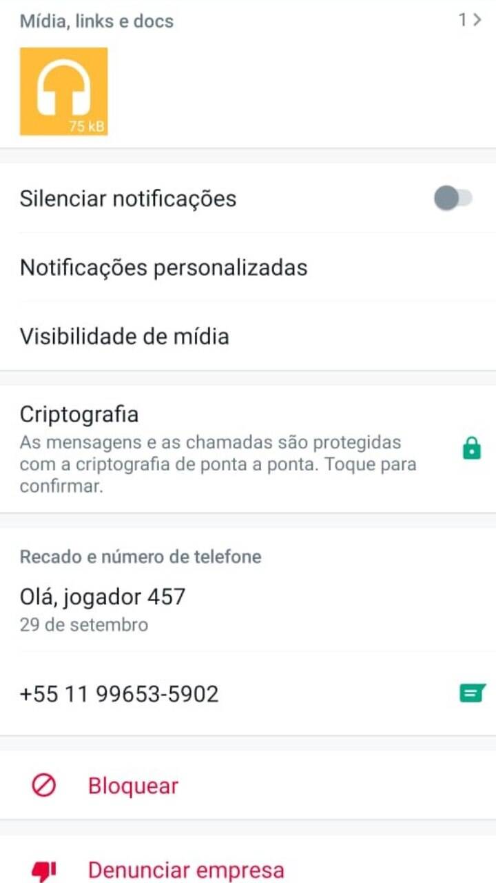 Netflix distribui figurinhas de Round 6 no WhatsApp; veja como salvar, Tecnologia