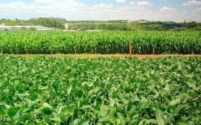 Bayer lança marca Intacta 5 : nova geração de biotecnologia para soja com foco em produtividade, manejo customizado e sustentabilidade