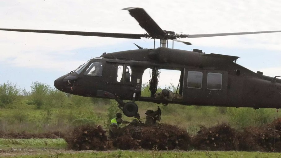 Helicópteros descartam 9 mil árvores de Natal em pântanos
