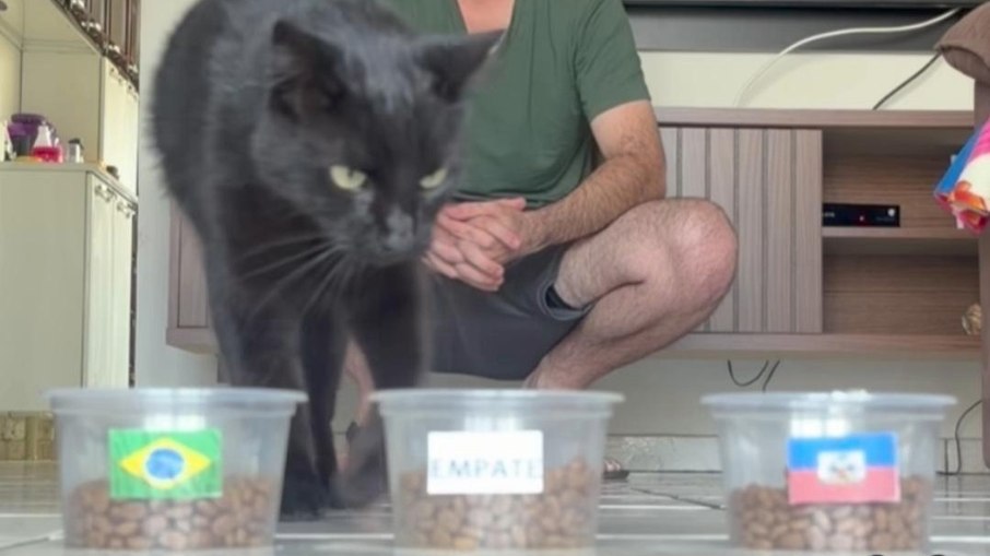 Gato vidente prevê Brasil x Haiti