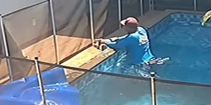 Piscineiro salva cão cego que se afogava em Goiânia