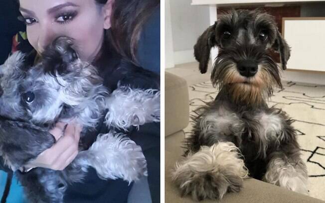 Anitta lamenta morte de um de seus cachorros em publicação emocionante no Instagram