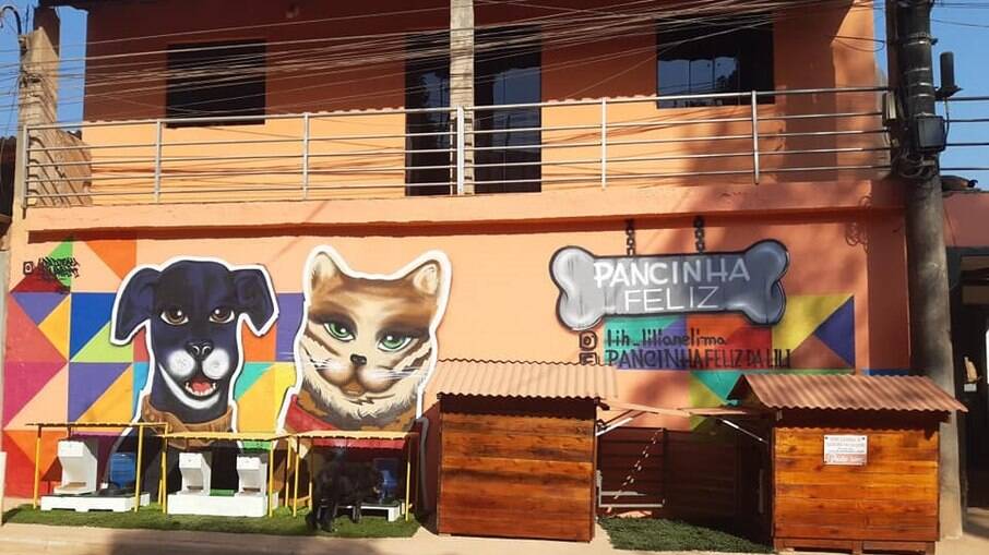 O Pancinha Feliz foi criado por uma moradora de Mauá, para acolher animais de rua