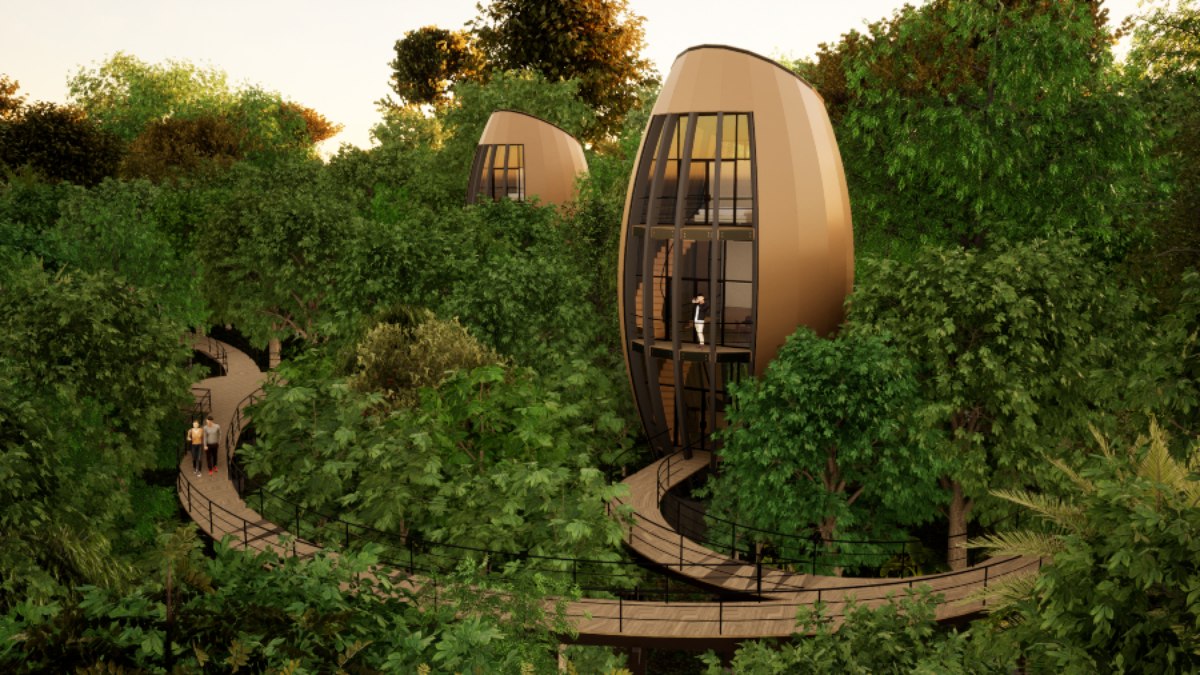 Descubra 5 Hotéis Incríveis na Amazônia Que Unem Luxo e Sustentabilidade (Você Vai se Surpreender!)