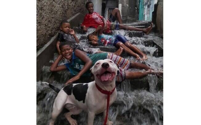 A cachorrinha Bela e as crianças curtiram o banho de chuva