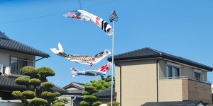 Dia das Crianças no Japão: Símbolos e Histórias do 5 de Maio