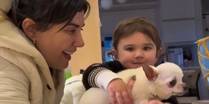 Criança comove internautas ao procurar por cadelinha que morreu