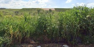 Corpo de mulher é encontrado em rodovia próxima a Viracopos