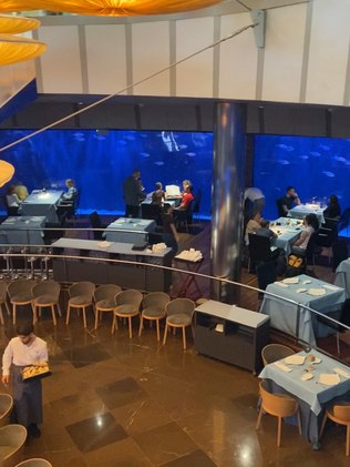restaurante subaquático de valência na espanha