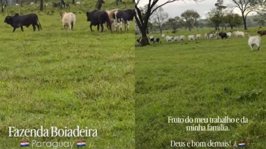 Ana Castela mostra novos animais de sua fazenda.