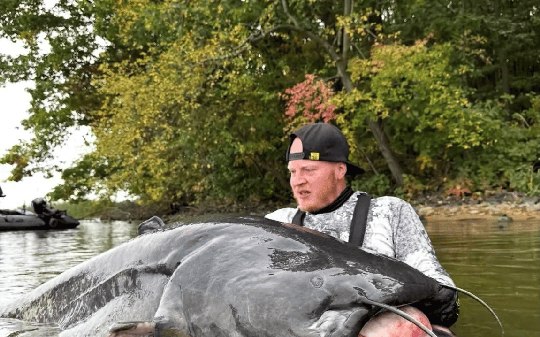 Pescador captura siluro gigante de quase 3 metros