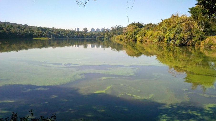 Lago das Garças, no Parque Estadual das Fontes do Ipiranga, com destaque para a intensa proliferação de algas na superfície e o cenário urbano ao fundo. Lago das Garças, no Parque Estadual das Fontes do Ipiranga, com destaque para a intensa proliferação de algas na superfície e o cenário urbano ao fundo.
