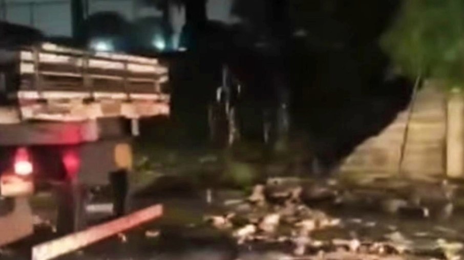 Muro Toca da Raposa 2