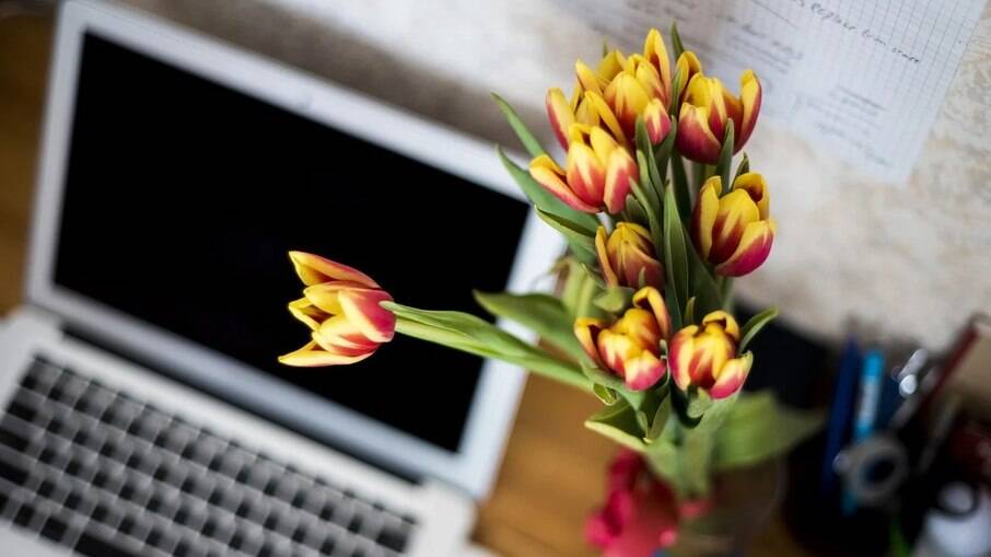 Decore a casa com flores para deixar o ambiente mais leve em tempos de home office
