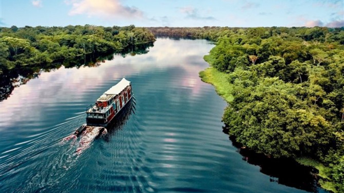 Amazônia tem mais de 2,7 mil espécies de peixes, aponta estudo - Foto