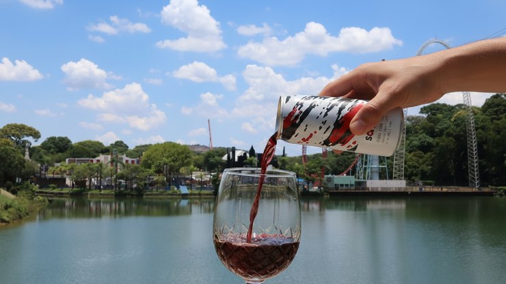 Muito além da adrenalina: Hopi Hari brinda nova fase com vinho