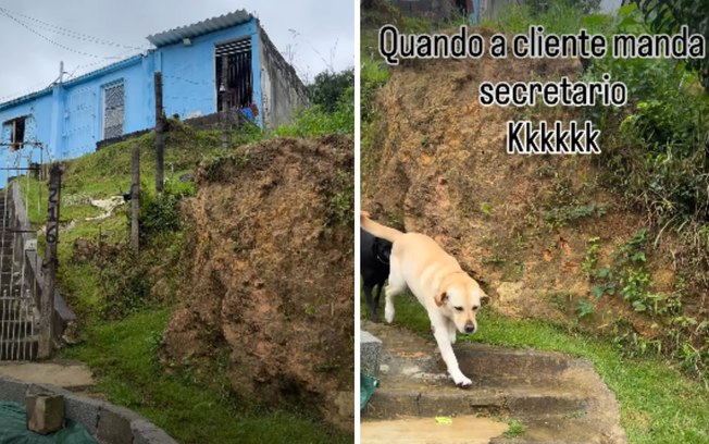 <div>Labrador vira "secretário" e busca entrega para a dona</div> 2aup94pxxsd0wlq2k0y0p4u53