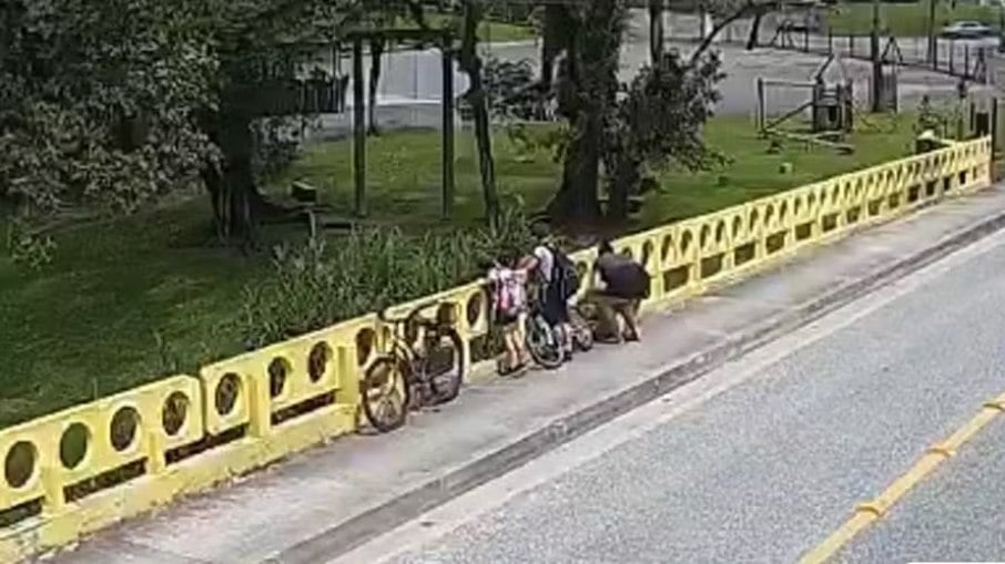 Cachorro é jogado de ponte pela própria tutora na frente dos filhos em Joinville