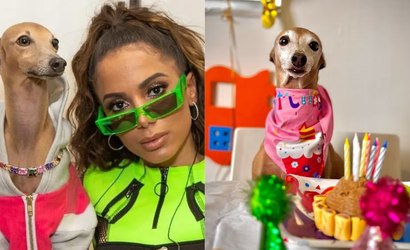 Plínio, cachorro de Anitta, comemora 8 anos com festa exclusiva na creche