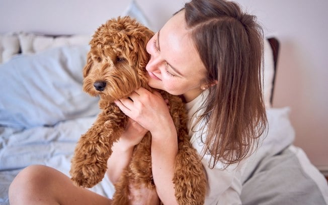 Como saber se a cachorra está no cio? Saiba os sintomas e quanto tempo dura