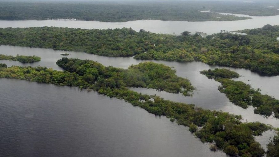 Amazônia pode entrar em colapso irreversível em 2050