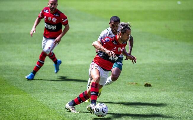 Foto: Reprodução/Flamengo e Palmeiras