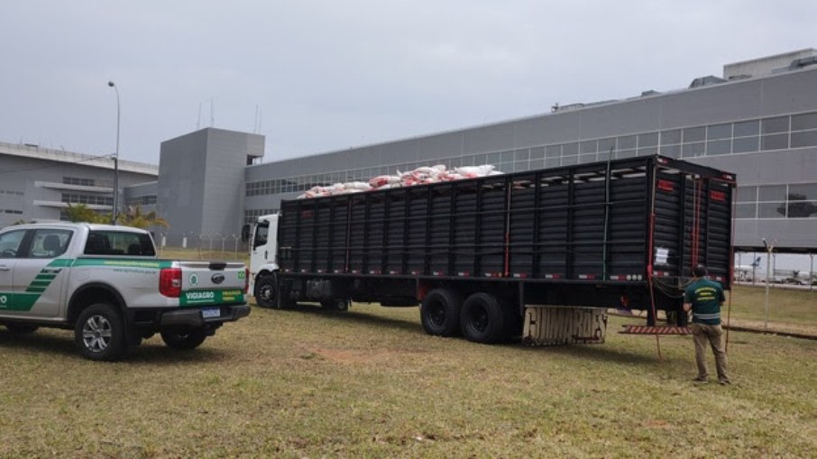 Auditoria federal certifica segurança e conformidade no transporte dos animais Auditoria federal certifica segurança e conformidade no transporte dos animais