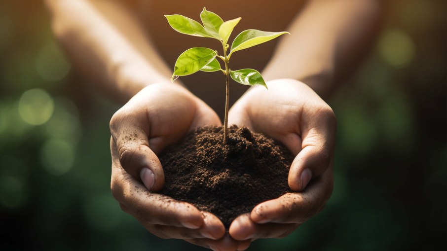A programação em comemoração ao Dia Mundial do Meio Ambiente inclui plantio e doação de mudas