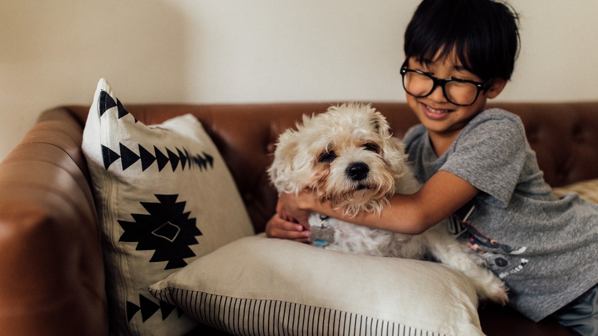 A limpeza frequente com aspirador e produtos específicos ajuda a manter o estofado livre de pelos, manchas e odores. A limpeza frequente com aspirador e produtos específicos ajuda a manter o estofado livre de pelos, manchas e odores.