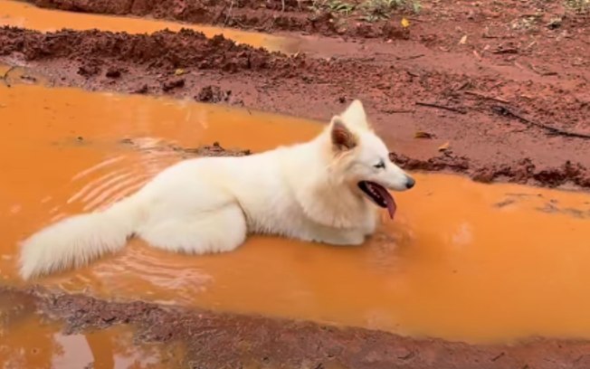 2d1scgcid64min9gm2yjkntok