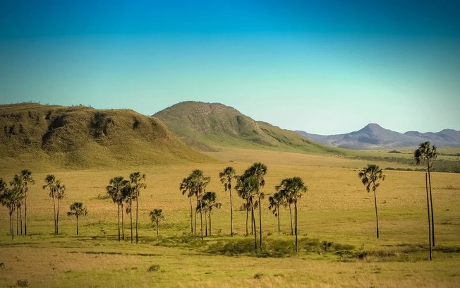 Cerrado expõe fragilidades da política de conservação no Brasil
