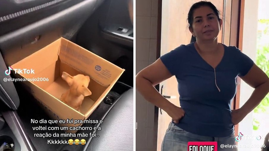 Jovem encontra cachorro em missa e leva filhote caramelo para casa